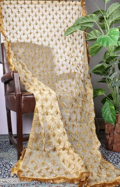 Fancy Kiran Dupatta