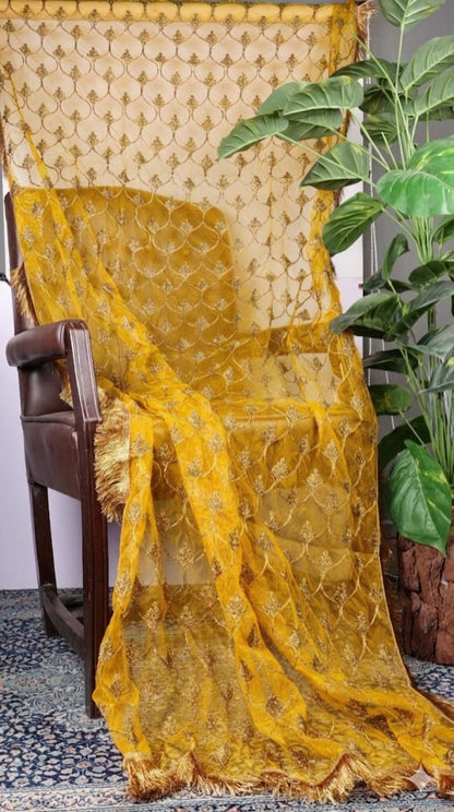 Fancy Kiran Dupatta