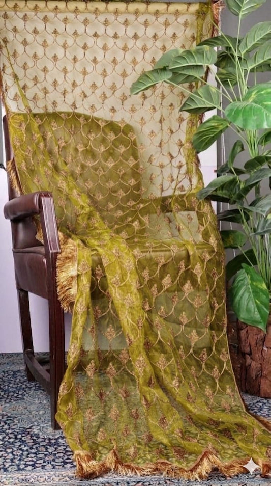 Fancy Kiran Dupatta