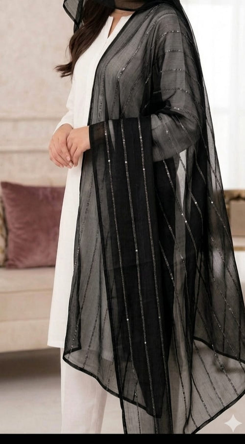 Chiffon Sequence Dupatta