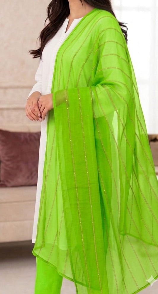 Chiffon Sequence Dupatta