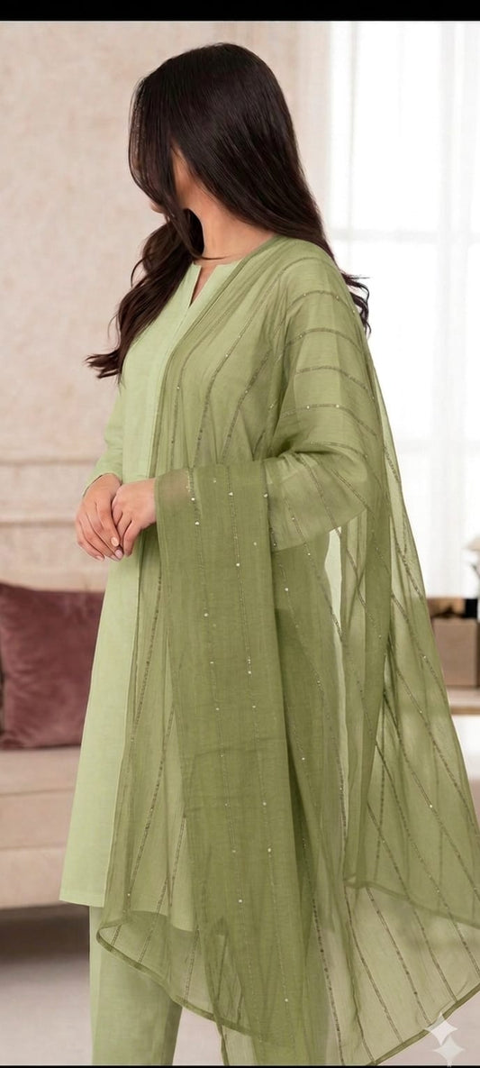 Chiffon Sequence Dupatta