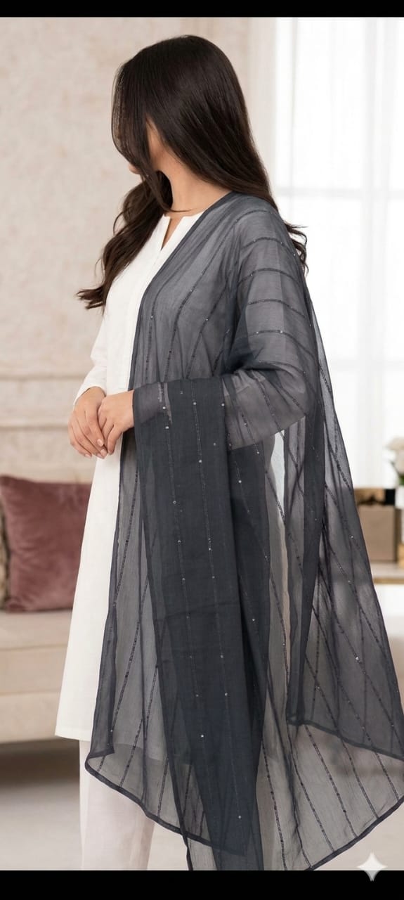 Chiffon Sequence Dupatta