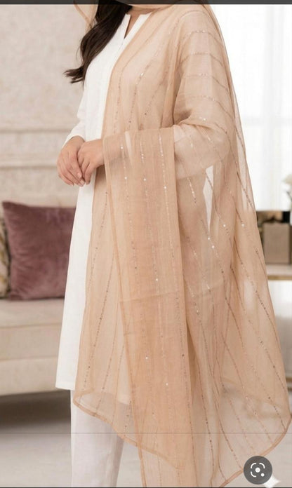 Chiffon Sequence Dupatta